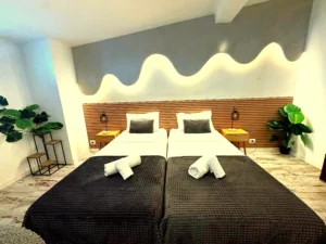 Vista frontal de las camas gemelas con lámparas de noche y plantas decorativas