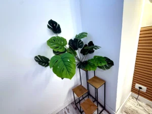 Rincón decorativo con plantas verdes en las zonas comunes